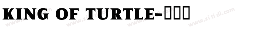 King OF Turtle字体转换